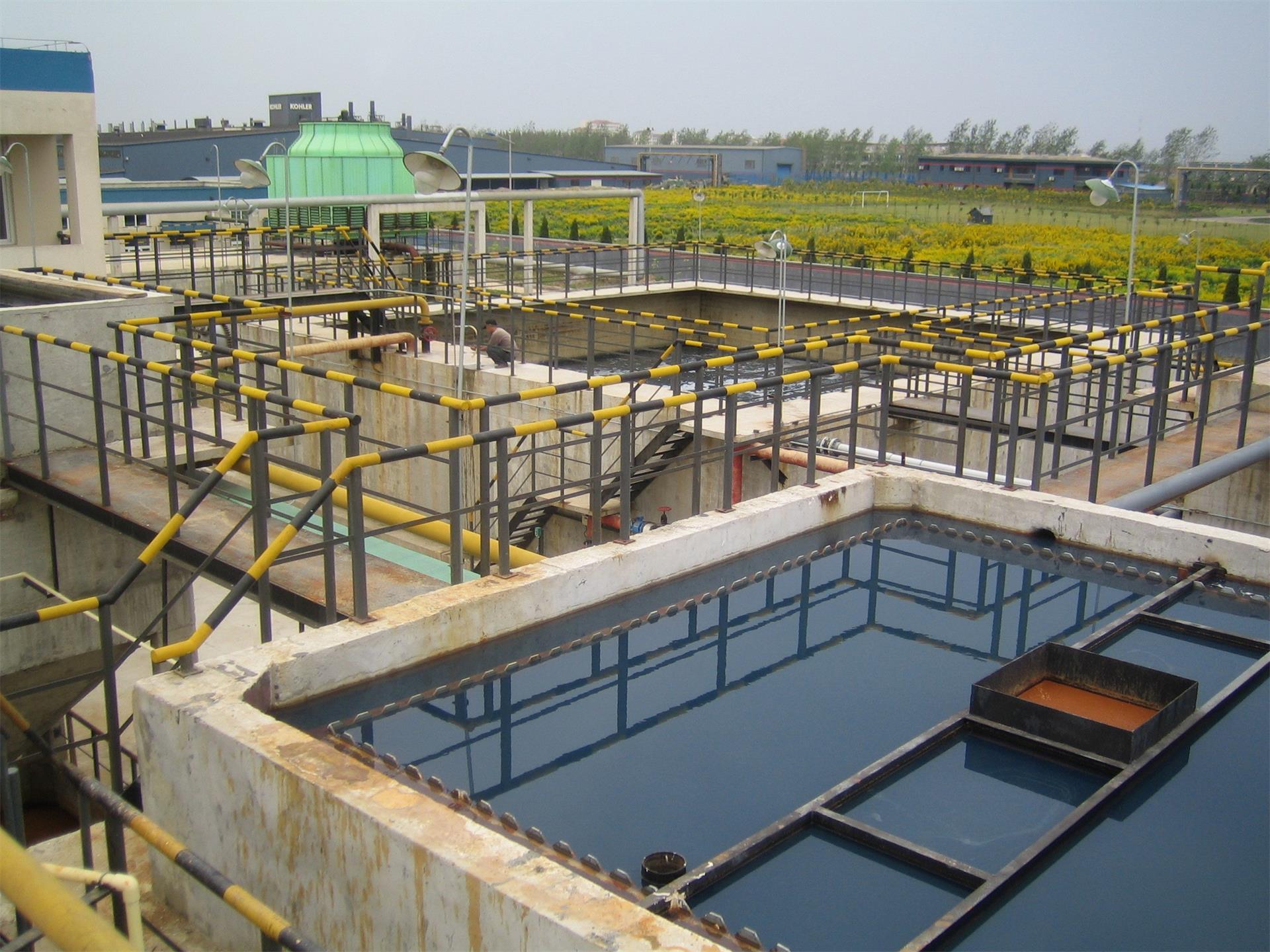 Project Pictures GreatEnvironmet